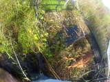 Airboat hog hunting with go pro 9-15-12