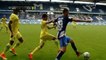 Vedad Ibisevic fight vs Nantes players - Hertha vs Nantes