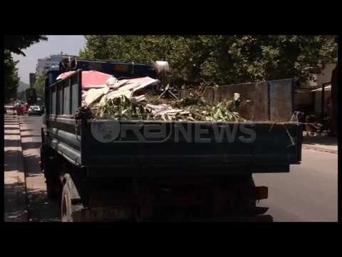 Ora News – Rreziku nga plehrat, kontenierët e hapur burim infeksioni për qytetarët