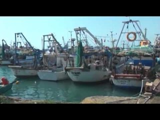 Peshkarexha, MPJ: Gjendet në Egjipt Luan Mema, mister fati i Dhimitër Maljes