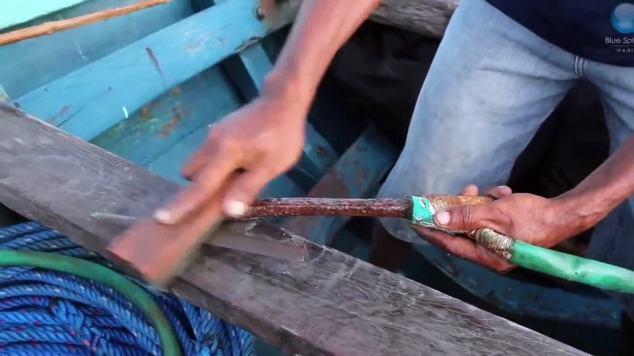 Indonesia - Manta Hunt