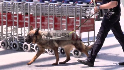 Report TV - Maskat grabisin mbi 3 mln euro brenda aeroportit "Nënë Tereza"