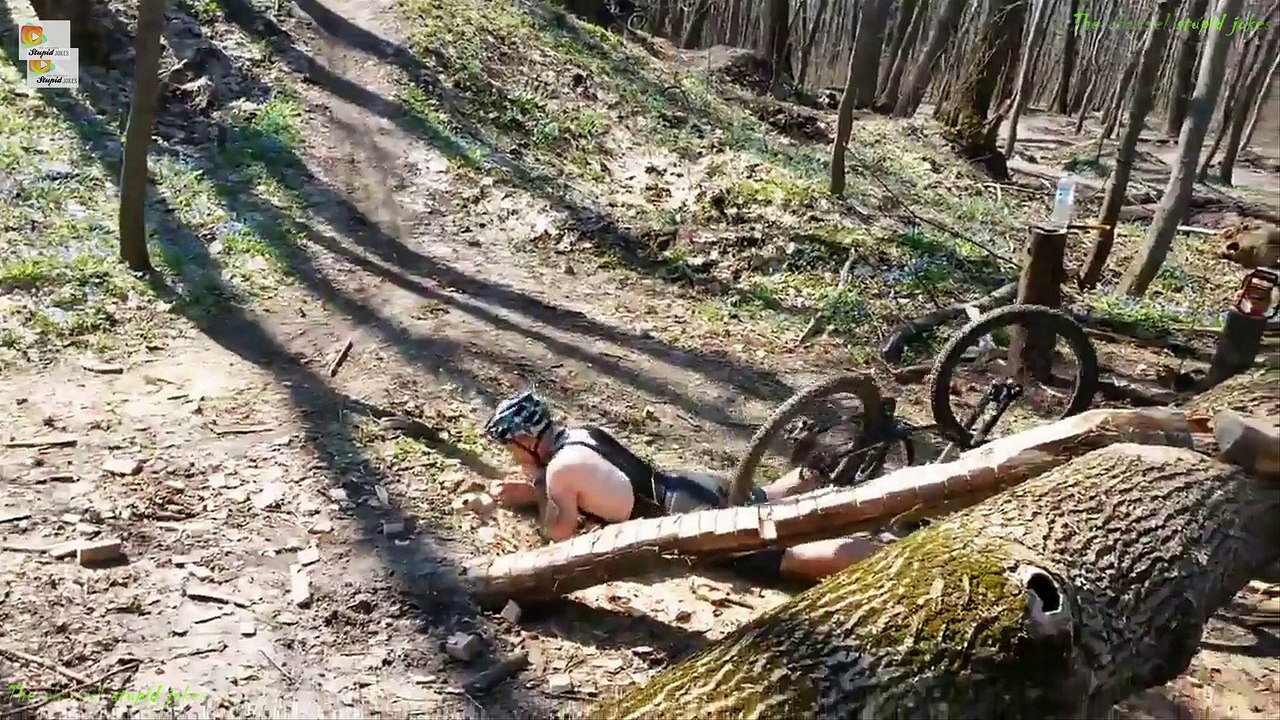 Funny Videos ★ Best Funny Fail Compilation ★ Funny Animals ★ Funny Videos 2016