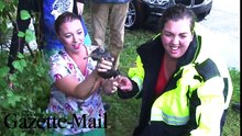 Cette femme risque sa vie pour sauver un chaton dans un tuyau d'eau !