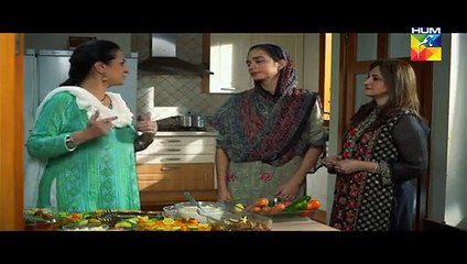 Udaari Episode 15 on Hum Tv in High Quality 17th July 2016