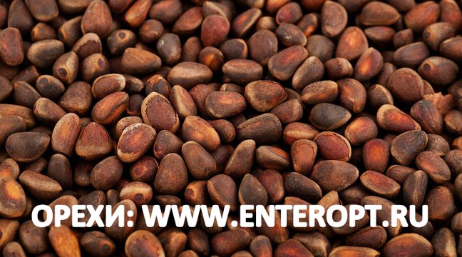 ᐉ +7923538777O ЗВОНИ | КЕДРОВЫЕ ОРЕХИ ЦЕНА КГ Ядро Кедровое Куплю Продажа Кедровый Орех Продать Стоимость Ореха Кедрового Экспорт Китай Лицензия Орехи Вывоз