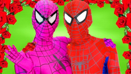 Spiderman & Pink Spidergirl in Real Life ! Spiderman & Frozen Elsa vs Joker ! Superhero In Real Life