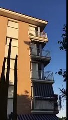 Un chien bloqué sur un balcon en plein soleil saute pour survivre