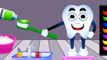 Colors for Children to Learn with Tooth Brush - Colours for Kids to Learn - Kids Learning Videos