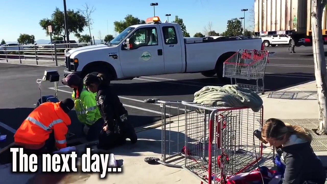 Sauvetage d'un chaton coince 33 heures dans un égout