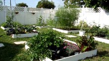 Donna's Square Foot Garden. Part 27