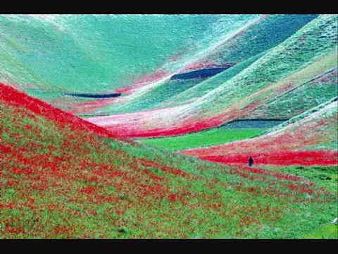 Afghan Defeat - Przegrana Wojna w Afganistanie - Max Kolonko Mówi Jak Jest