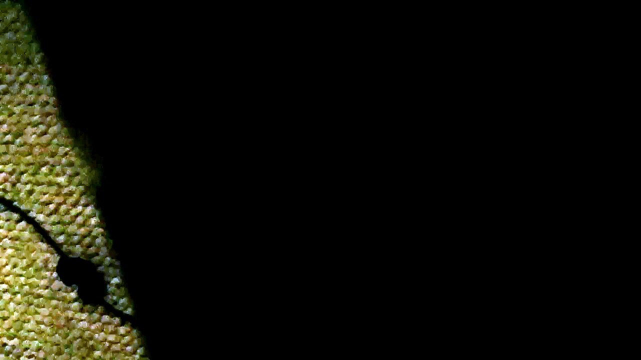 Live video Jul 14, 2016 4:27:25 PM