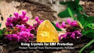 Using Crystals for EMF Protection (August 22, 2011)