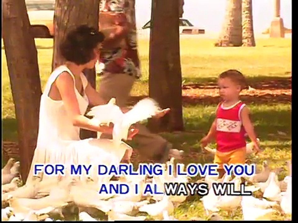 Melovision (MV運律) - Love Me Tender