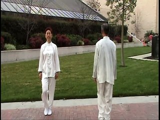 Two people mirror Tai Chi form 24