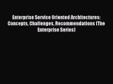 READ book  Enterprise Service Oriented Architectures: Concepts Challenges Recommendations