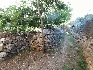 Village Banj-04, Pasman island, Croatia 2010.06.25