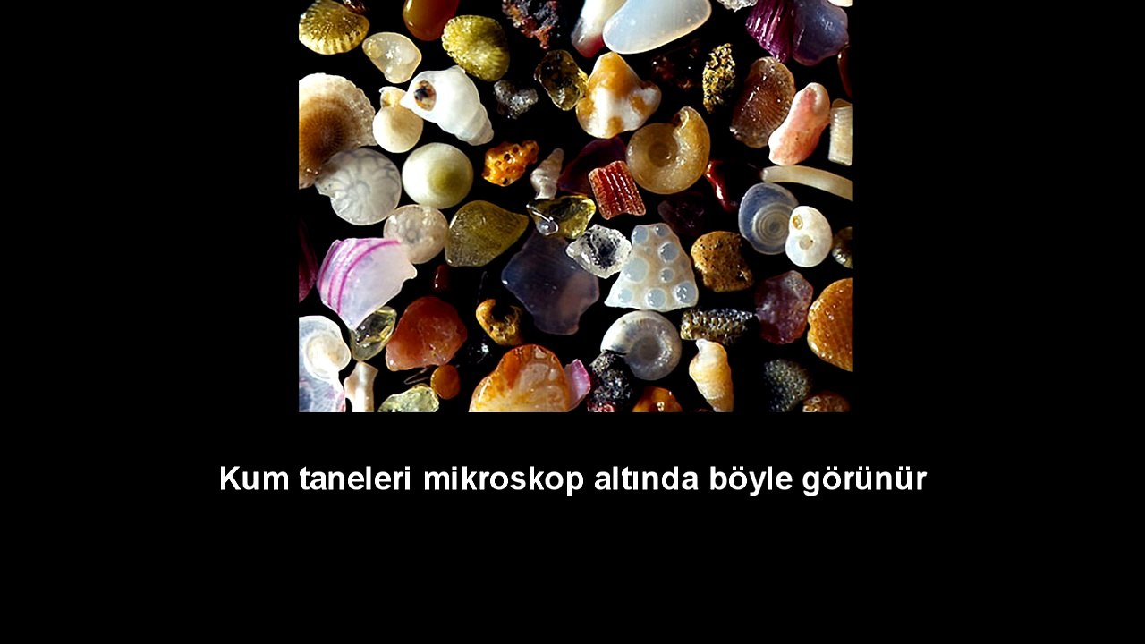 GERÇEKLİĞİNE İNANAMAYACAĞINIZ 20 BİLGİ
