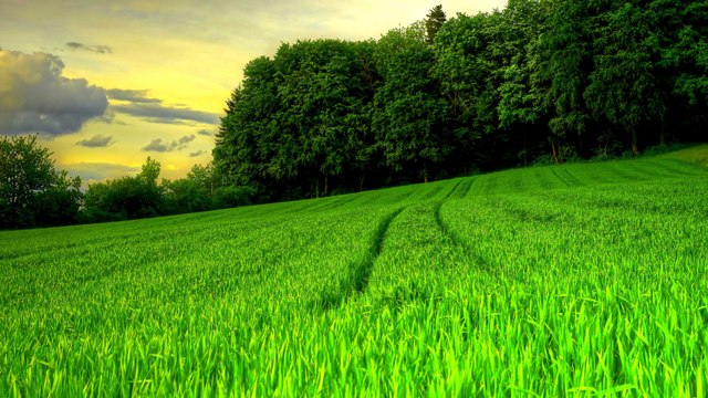 Нестандартный взгляд на круги на полях