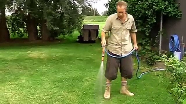 Video Tips Common Lawn Problems Gympie, Sunshine Coast, Brisbane