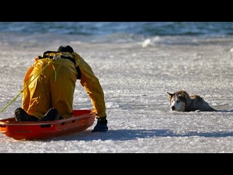 10 ПОСТУПКОВ ДОСТОЙНЫХ УВАЖЕНИЯ! Вам будет интересно увидеть