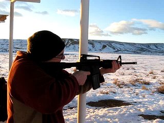 Charles Daly AR-15