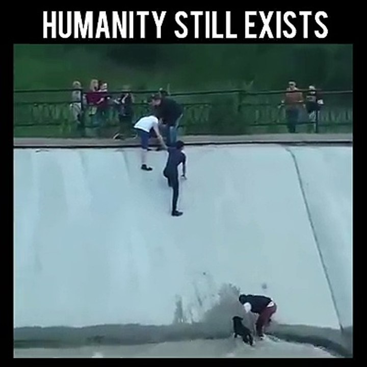 Must Watch Video comedy scenes