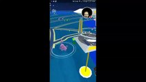 Tomber dans un étang de nuit en jouant à pokémon go... FAIL