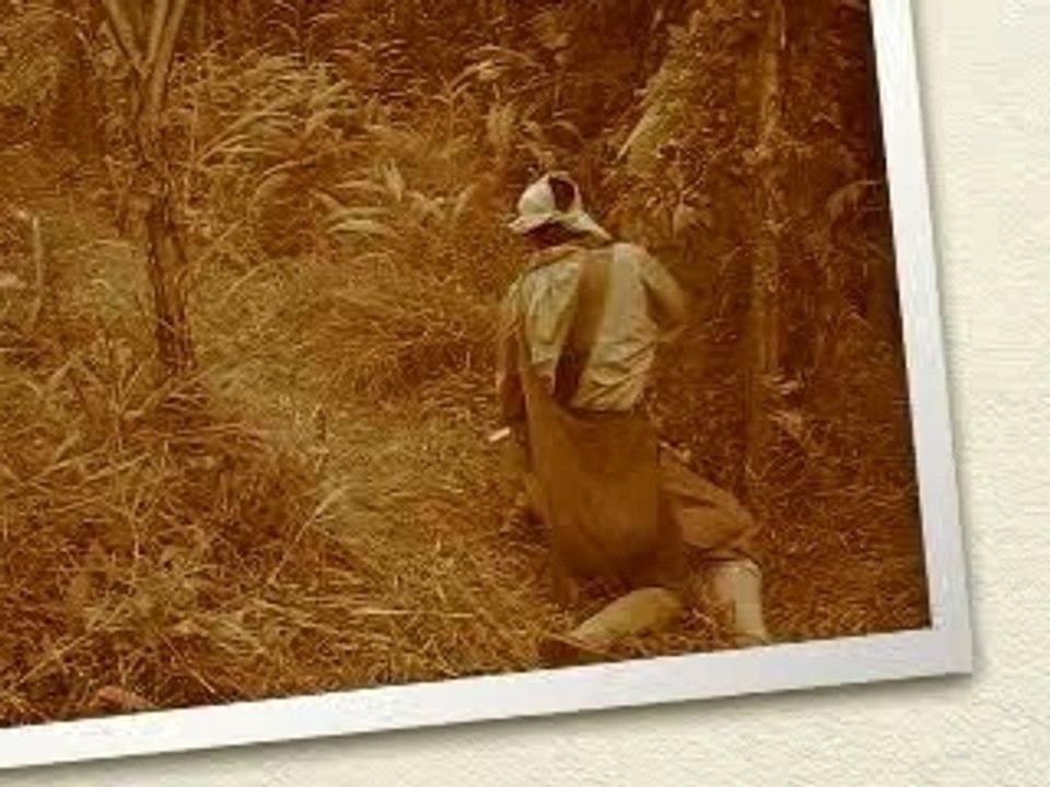 PIRATES TREASURE QUEST