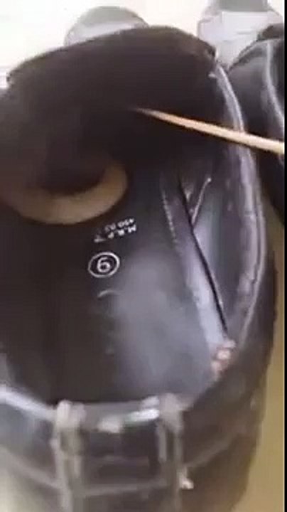 Une surprise se cache dans ses chaussures
