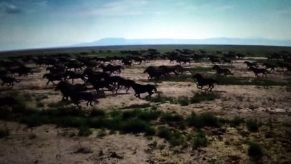 CINEPHONE 2016 : THERE IS NO PLACE LIKE HOME