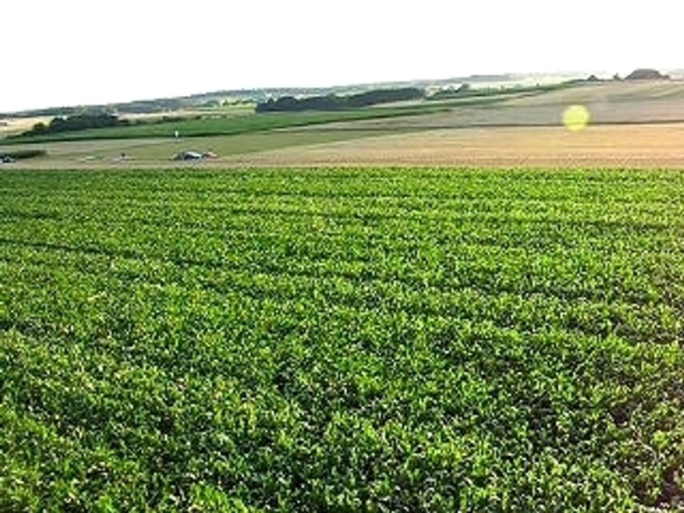 18 juillet 2007 - baptême paramoteur - moins haut 1