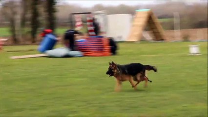 Un dresseur de chiens aux méthodes plus que douteuses...