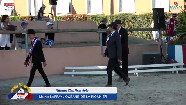 Attelage Club Anes Solo