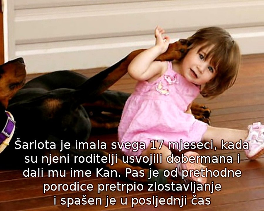 Doberman i djevojčica