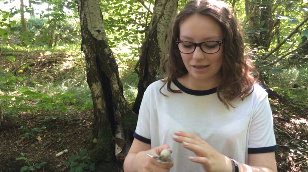 Géocaching