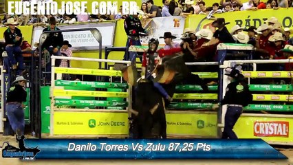 Danilo Torres Vs Zulu Cia AR Betinho Rio Verde 2016
