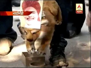 BJP suppoters in Delhi celebrates their poll victory in Gujrat