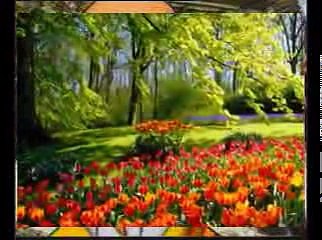 THẬP THIỆN NGHIỆP (9) ĐĐ. THÍCH GIÁC THIỆN Giảng