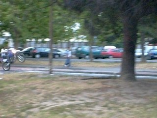 navaro de la REYNERIE 17 ans