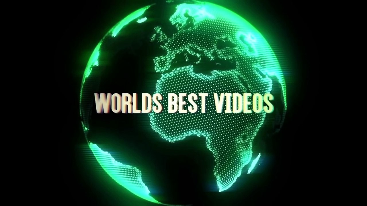 Funny videos
