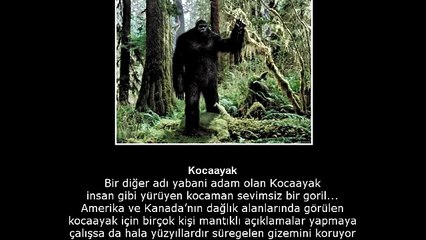 DÜNYAYI SARSAN EN ESRARENGİZ ON OLAY