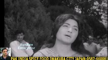 CHAMPA AUR CHAMELI-RUNA LAILA+HD スパイスハラルフード　岩倉市 ジャパンjapan halal food spice