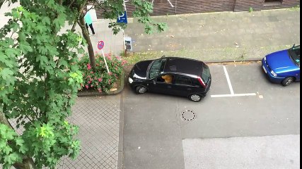 Cette femme n’est vraiment pas une pro du créneau !