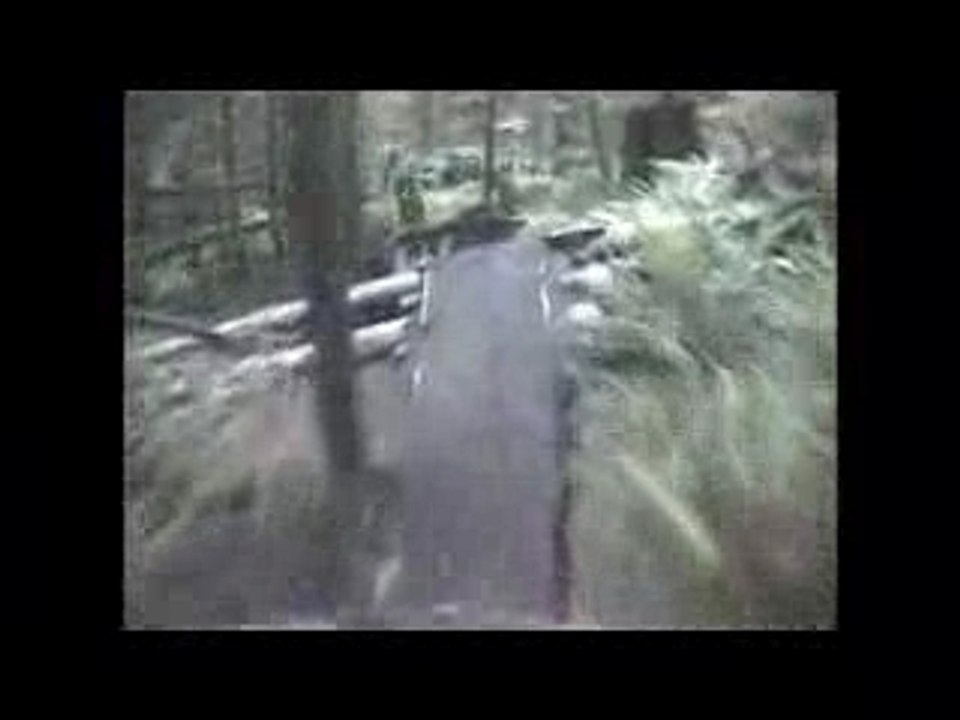 Vttfreeride