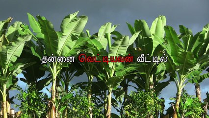 25.06.2016 Naam Tamilar Seeman's Daily Quotes