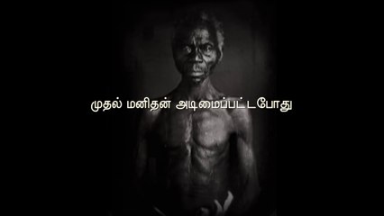 26.06.2016 Naam Tamilar Seeman's Daily Quotes