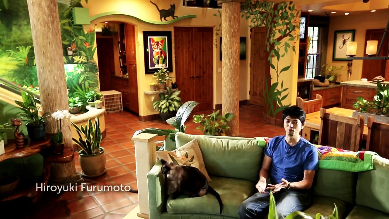 Cette maison paraît ordinaire mais vous n’avez pas encore vu l’intérieur…