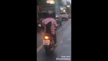 Un chat accroché au dos d'un mec en Scooter en Thailande